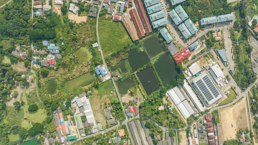 bird's-eye view
