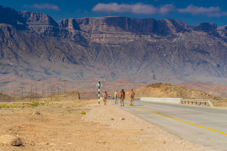 Rear view of people walking on road against mountain range
