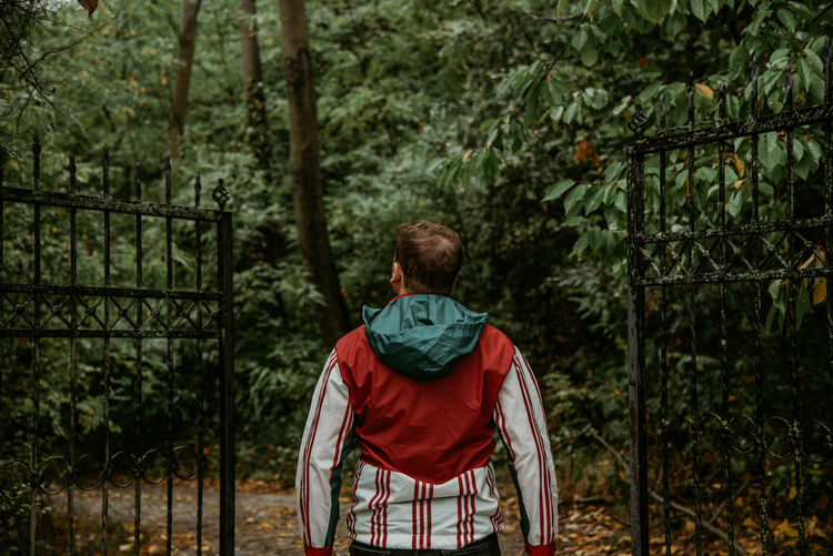 Rear view of man sitting on chair in forest