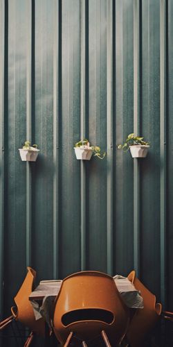 Close-up of potted plant on a container wall