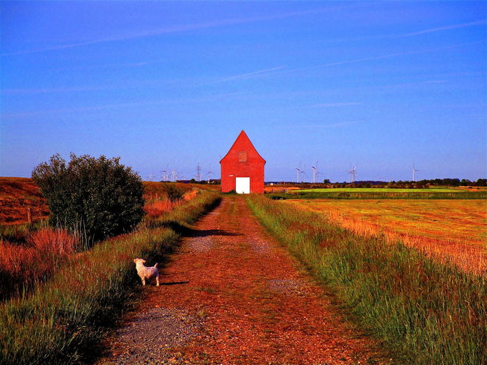 House on field against sky