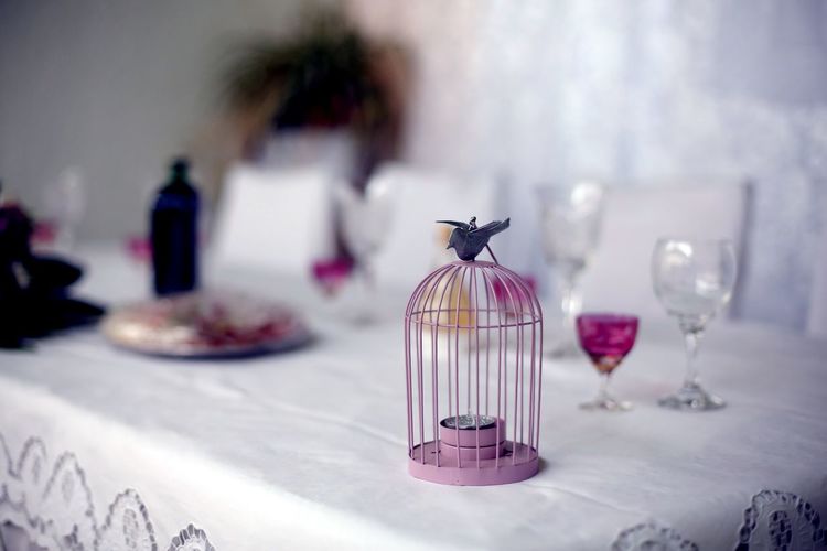 Close-up of bird cage on table