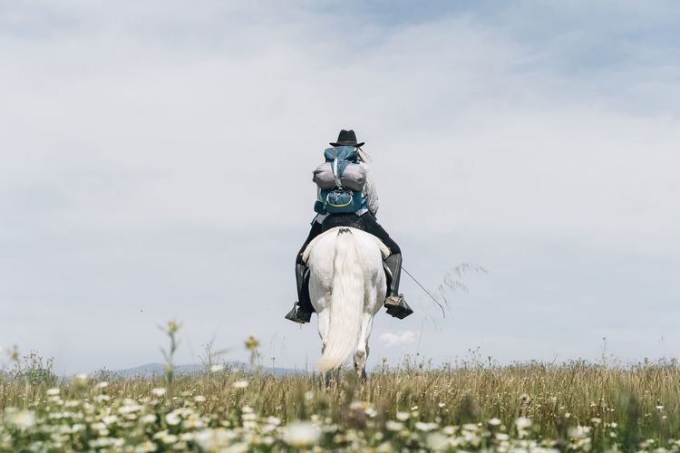 Young woman wearing backpack riding horse on meadow during sunny day