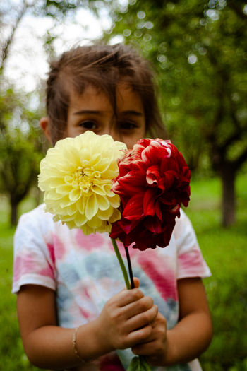 Close-up of woman holding red flowering plant