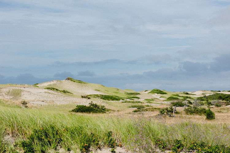Windswept dunes along an isolated coast