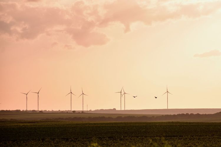 Wind turbines on field against sky during sunset