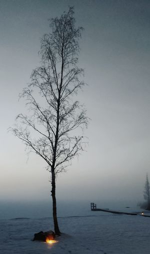 Bare tree by sea against sky during foggy weather