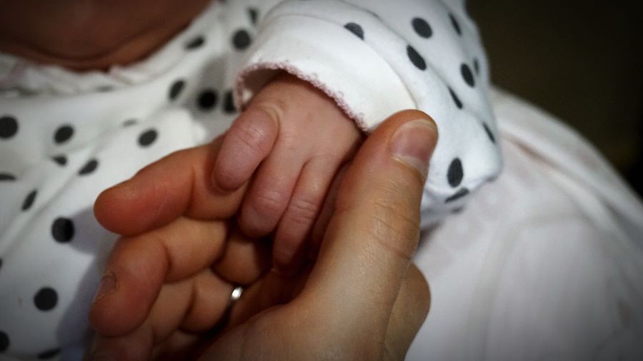 Cropped image of baby holding person finger
