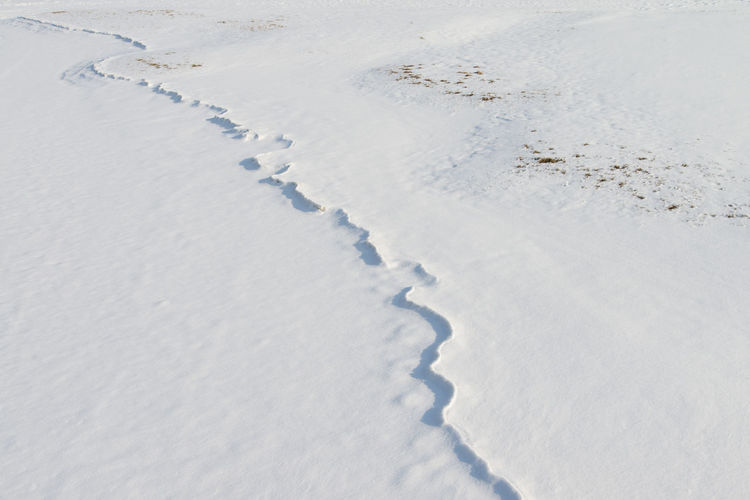 High angle view of ice tracks on snow