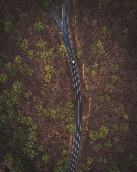 Aerial view of forked road through forest