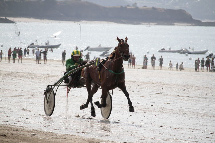 Horse racing on beach