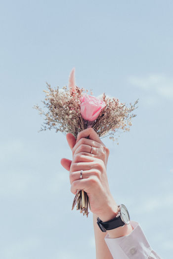 Cropped hand of woman holding flower against sky
