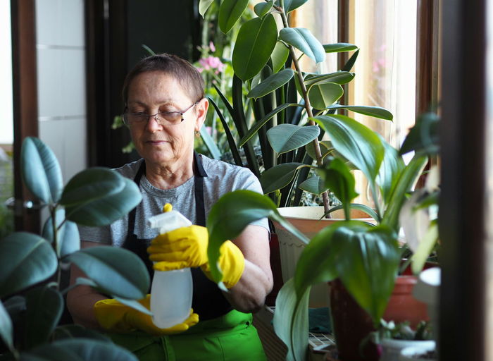 The woman takes care of the houseplants.