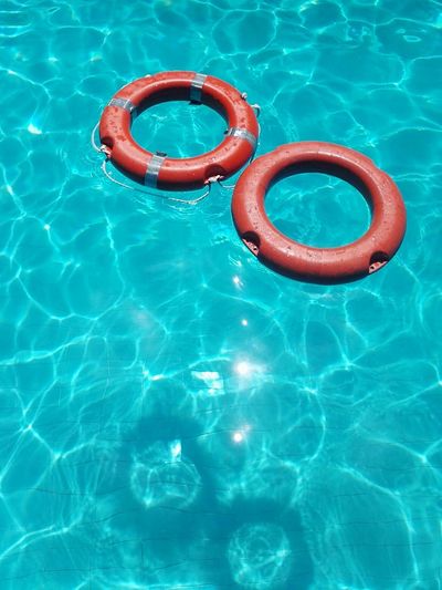 High angle view of inflatable rings in swimming pool on sunny day