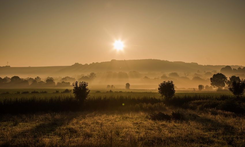 Scenic view of field against sky during sunset