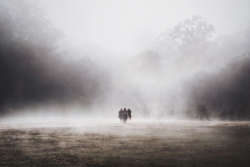 Three men riding horses in a foggy day against forest