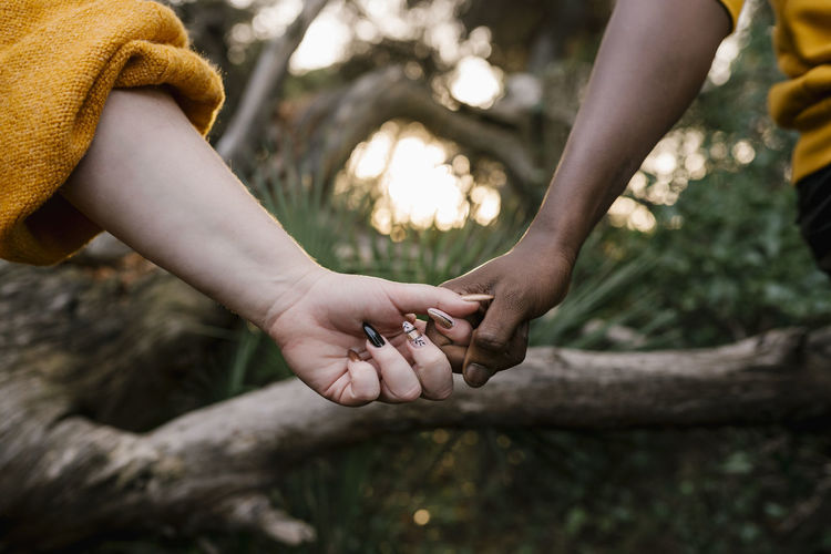 Close-up of woman holding hand of man at forest