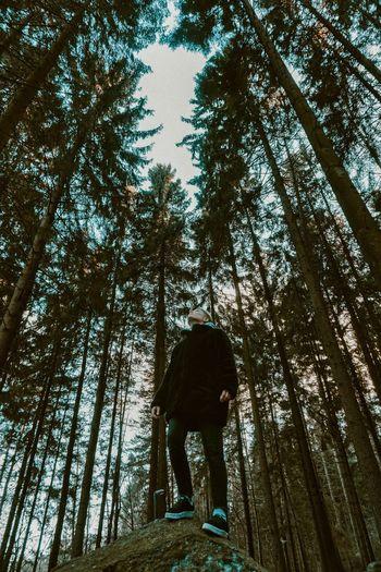 Low angle view of man standing by tree in forest