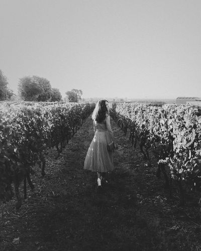 Rear view of woman walking on footpath at vineyard