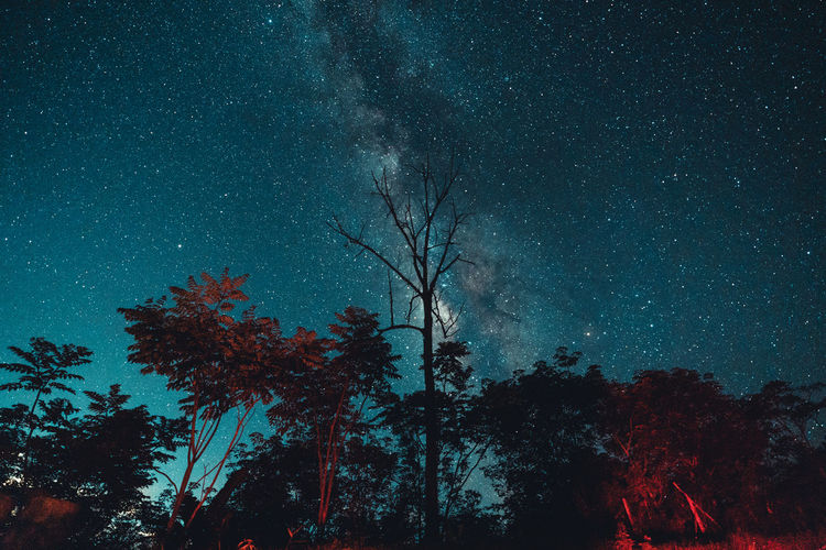 Milky way and night stars in the fields mood tone