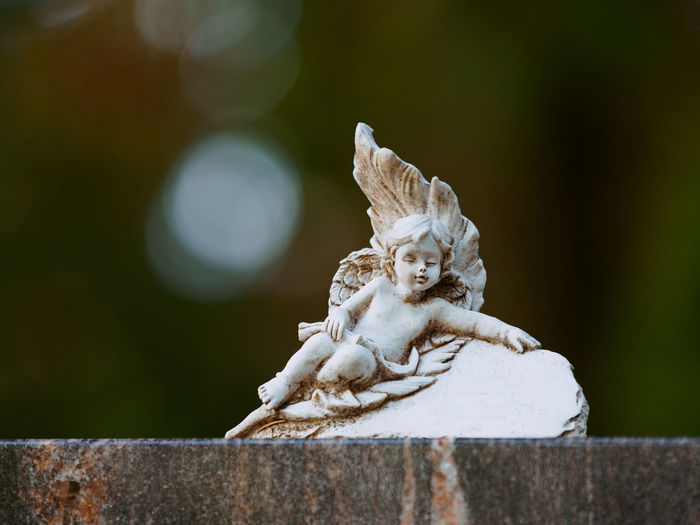 Close-up of angel statue on retaining wall