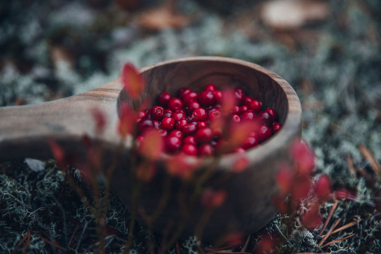 Wooden bowl filled with red berries