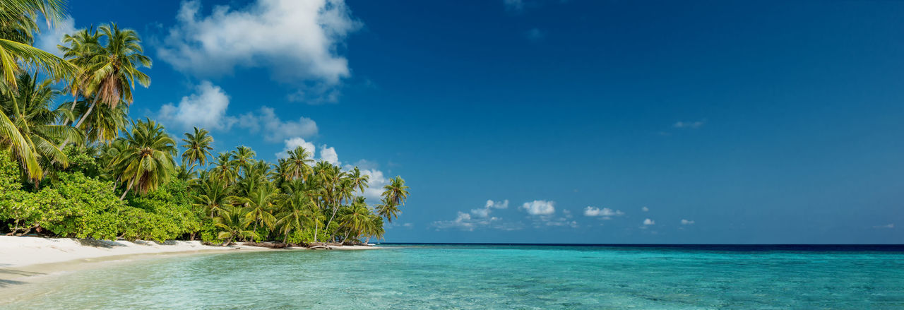 Beach panorama on the maldives