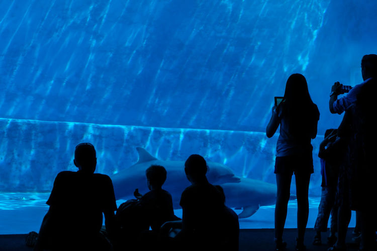 Rear view of people at aquarium