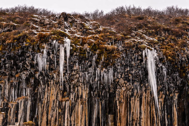 Low angle view of icicles on mountain