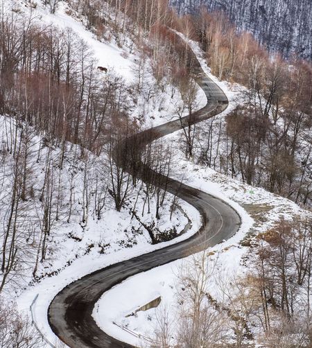 Snow covered road by trees during winter