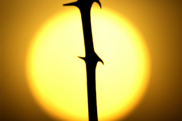 Close-up of sun in sky