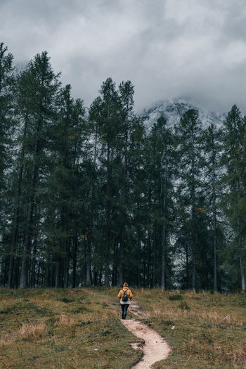 Female hiker on path leading to mysterious forest under misty mountains