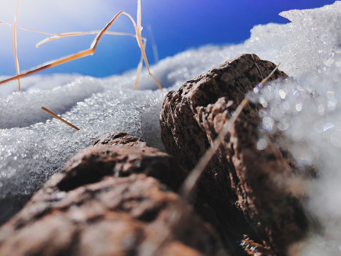 Close-up of rocks on land during winter