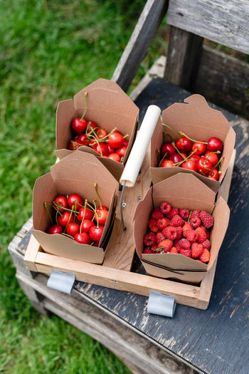 Carrying basket with boxes full of freshly picked berries.