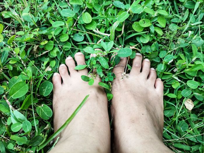 Low section of person legs by plants