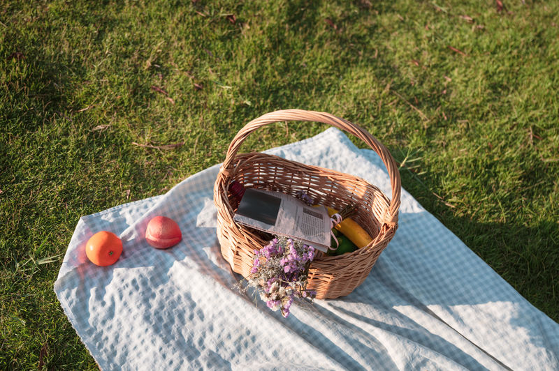 High angle view of food in basket on grassy field