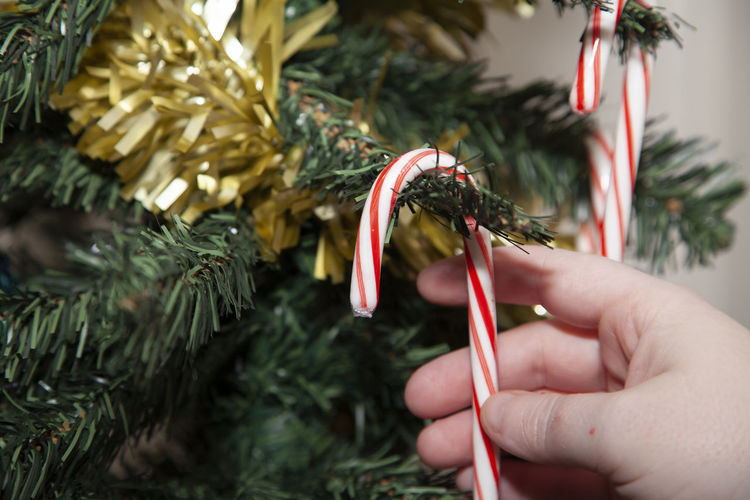 Close-up of hand holding tinsel
