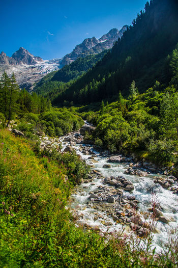 Scenic view of stream amidst trees and mountains against sky
