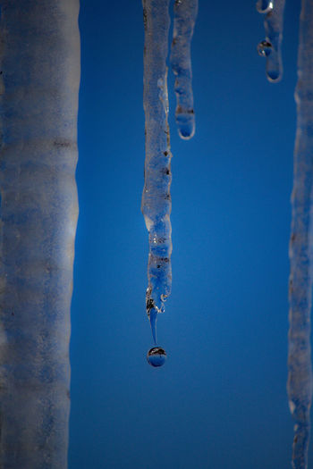 Close-up of icicles against clear blue sky