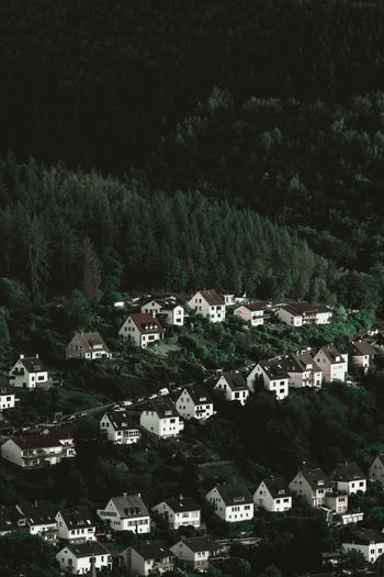High angle view of townscape and trees in town