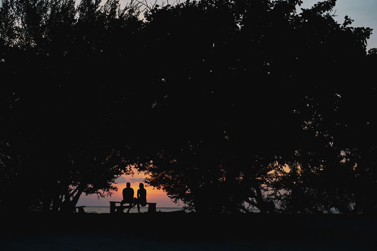 Silhouette people standing by tree against sky during sunset