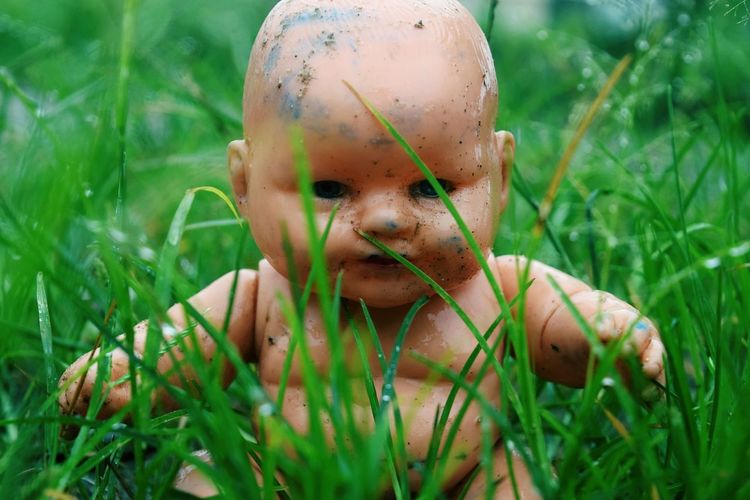 Close-up of doll amidst grass