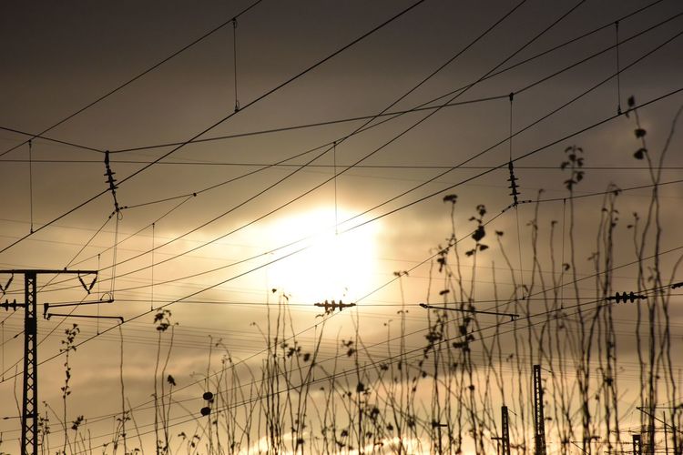 Silhouette plants and electricity pylon against sky during sunset