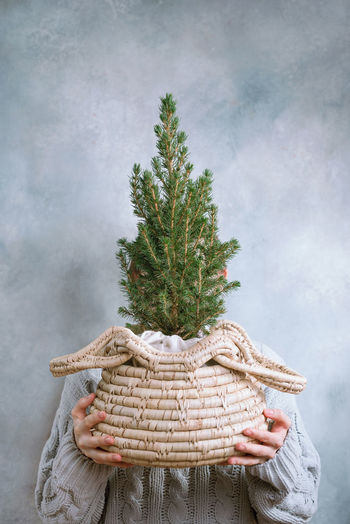 Rear view of woman holding plant
