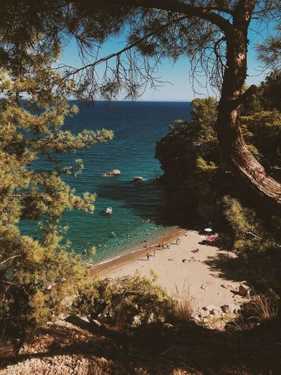High angle view of bay against trees