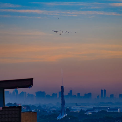 Birds flying over buildings in city during sunrise