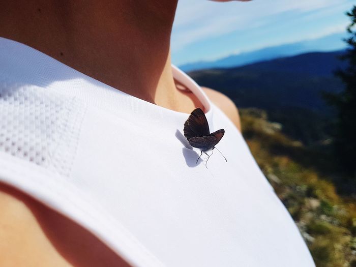 Midsection of man with butterfly on t-shirt