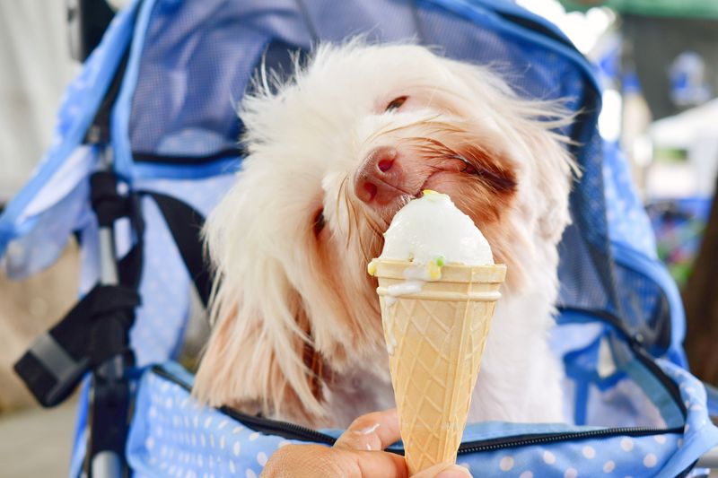 View of a ice cream cone