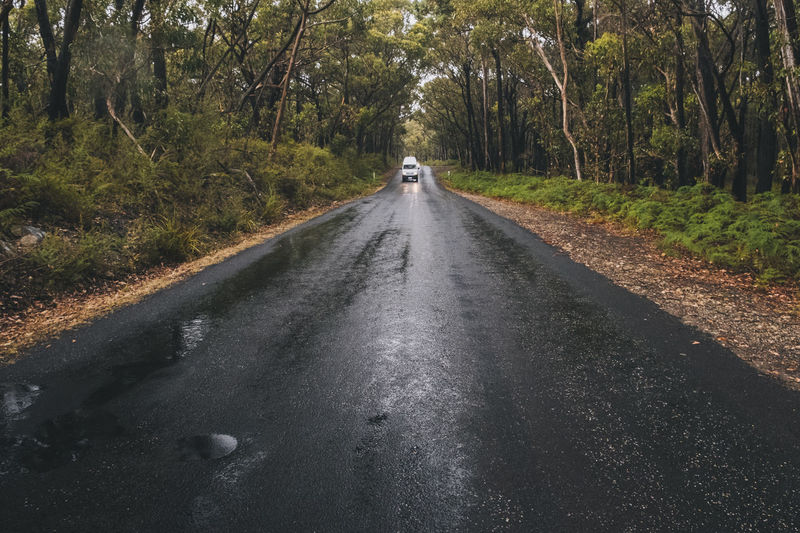 Campervan coming through the road on a foggy day at the lush forest of the grampians national park, victoria, australia