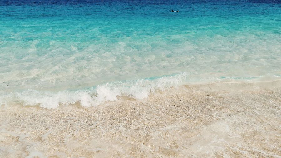 Scenic view of beach